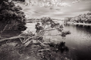 Chapman River, Kangaroo Island SA