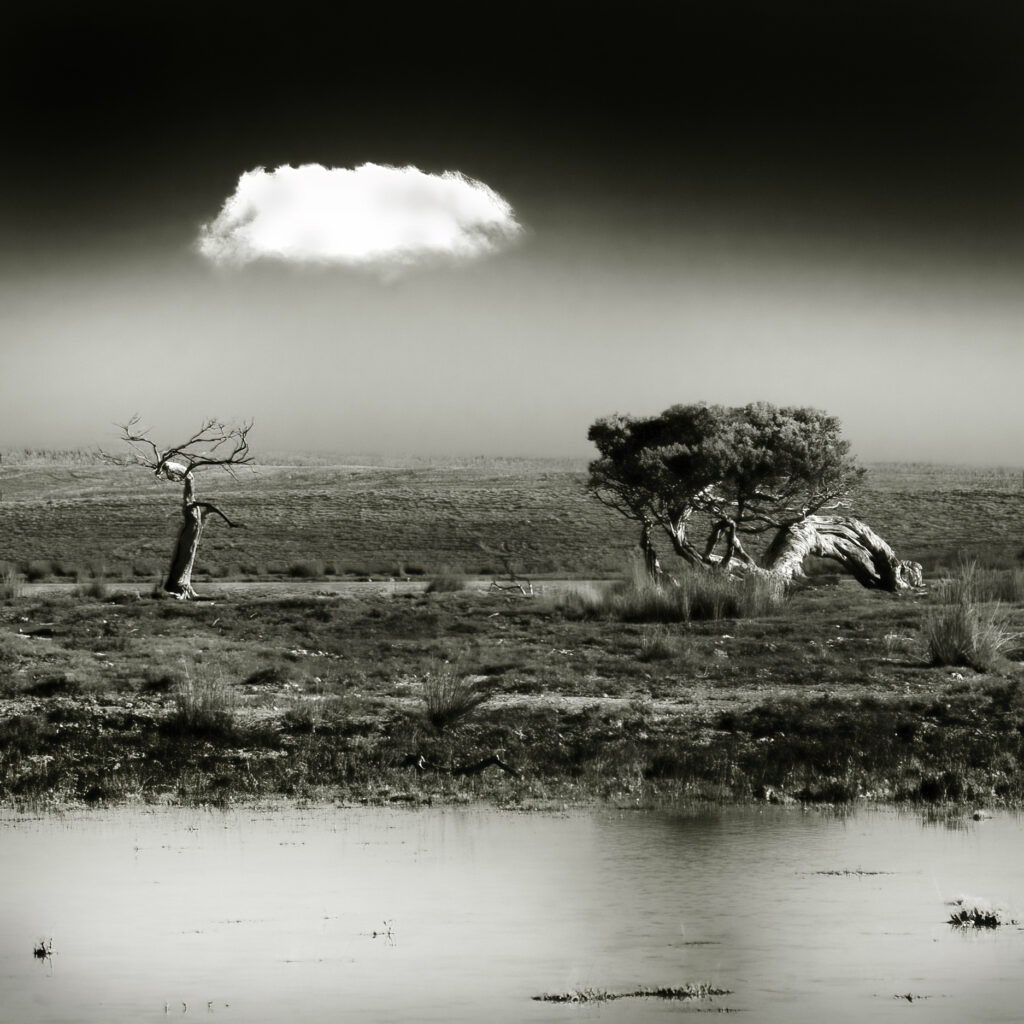 John Gitsham. The Cloud 2