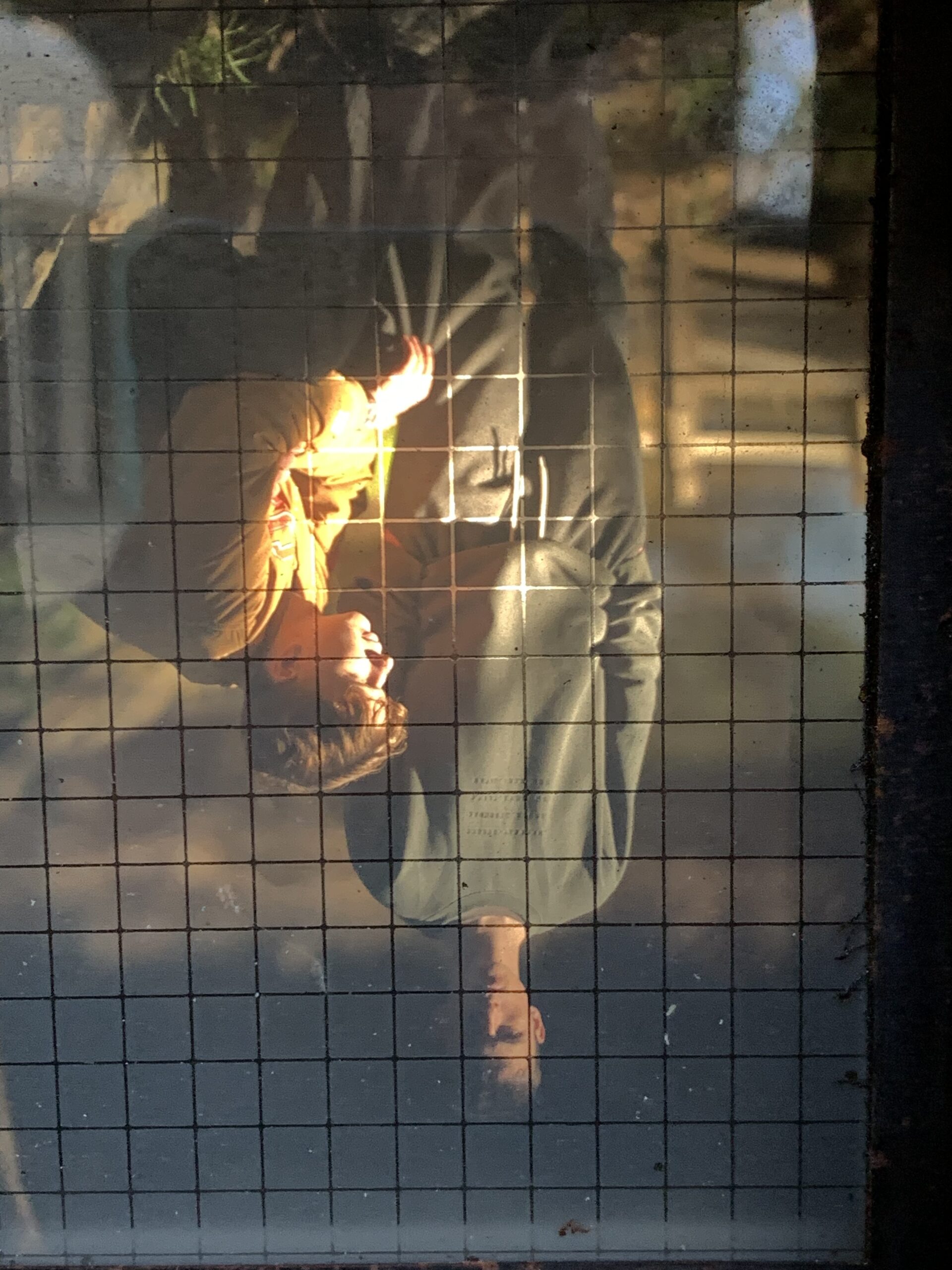Ground Glass view for Tintype